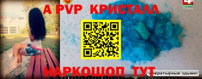 амф Новодвинск