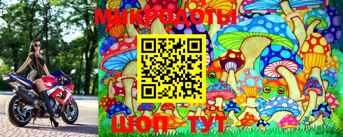 Псилоцибиновые грибы Psilocybine cubensis  Вход с VPN  Петровск 