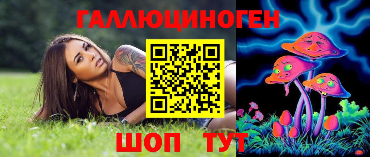 Галлюциногенные грибы Psilocybine cubensis Петровск